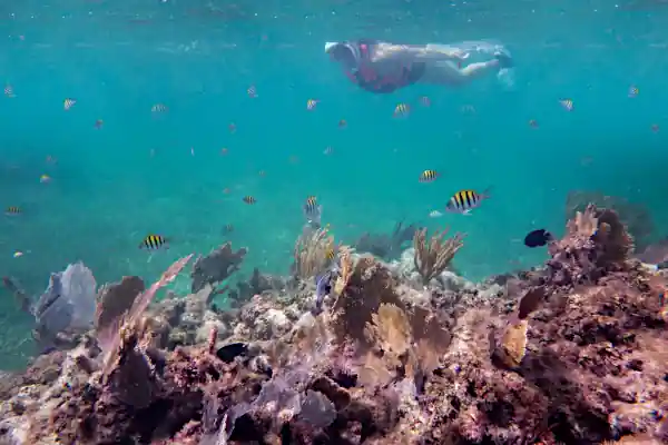 Snorleling off the coast of Puerto Morelos